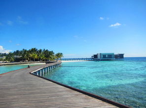 马尔代夫和jd岛哪个更适合度假