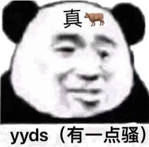 有一点骚