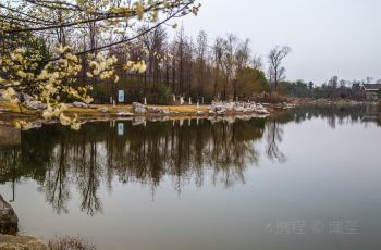成都锦城公园(成都锦城公园一圈多少公里)