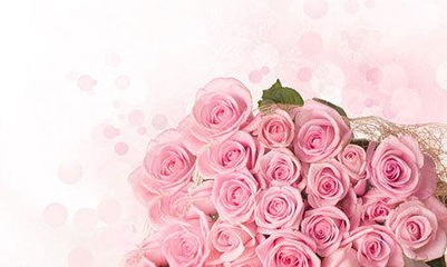 花藤创意鲜花坊各色玫瑰 巧克力套餐 心形礼盒 另有其他套餐可选