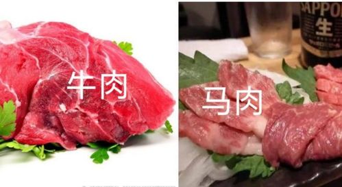 武夷巖茶的“牛肉”,“馬肉”到底什么來頭