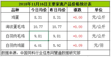 鸡蛋和淘汰鸡价格走势持稳 肉鸡苗价格高位上涨