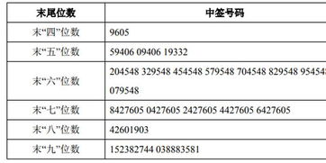 股票网上发行的公司