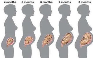 怀孕5个月的胎儿图片(怀孕6个月需注意什么)