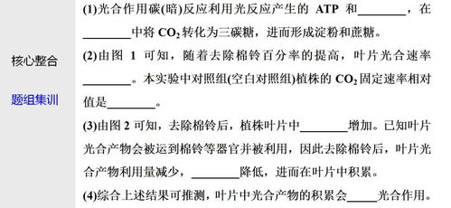 丝和羽的词语解释-什么是羽丝绵？