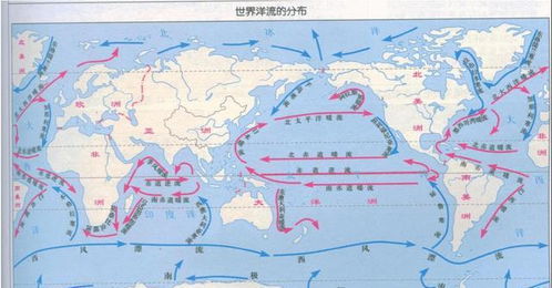 日本核污水排入海中后，对海中生物有何影响