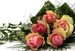 2朵粉玫瑰3朵红玫瑰搭在一起扎的花束是什么意思？