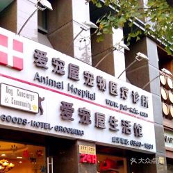 电话 地址 价格 营业时间 南京西路宠物医院团购 上海宠物 