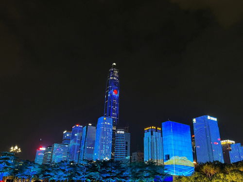 其他城市出行分享 深圳灯光秀2023 