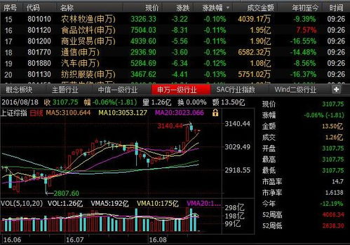 公司投资资金股份怎么回事