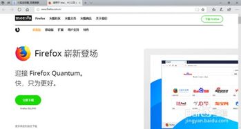 win10新安装浏览器上网慢