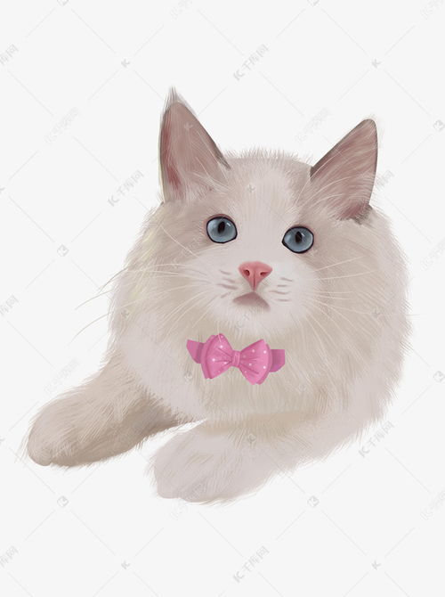 可爱手绘猫咪装饰元素素材图片免费下载 千库