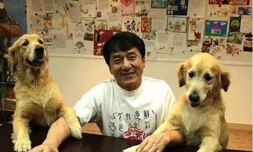 遛狗要牵绳 及时清理犬只粪便,文明养狗从我做起