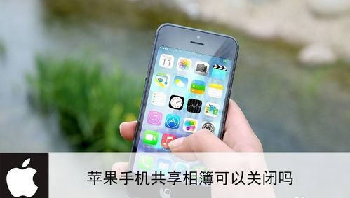 iphone共享相簿怎么关闭，如何关闭共享相簿功能提醒