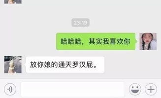 给喜欢的人发微信说 其实我喜欢你 ,Ta怎么回复