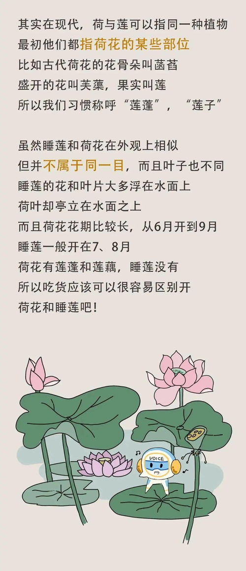 关于花,还有这些冷知识