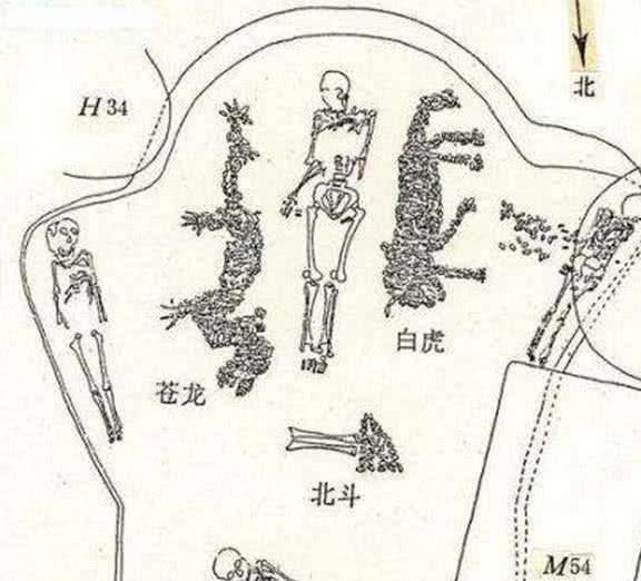 考古发现6500年前古墓,苍龙白虎相伴墓主人,宛如置身于天宫