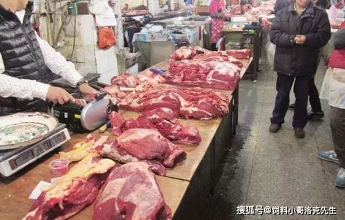 梦见炖牛肉是什么意思梦到炖牛肉好不好(梦见炖牛肉汤)