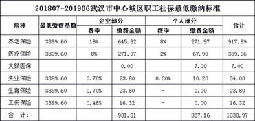 我的社保共缴税了多少？