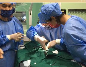 农学院两名教师参加宠物外科手术教学研修班教师培训会