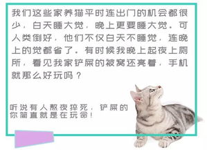 人类的本质是什么 复读机啊