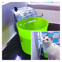 宠物猫只喝流动的水 猫奴 晒自制饮水器