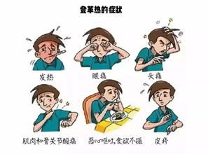 幼儿秋季疾病预防小知识