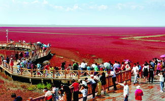 国庆节免费旅游景点