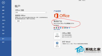 win10安装永久office2016