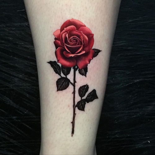 各种色彩的玫瑰花纹身图案欣赏你知道他的寓意吗