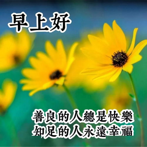 3.28最新版早安短信问候祝福语大全 最美早晨好问候表情图片带字温馨