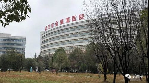 上海医疗队接手武汉金银潭医院两个病区,近半为中重症病人