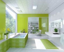 绿萝：室内装饰的自然之选，美化家居更环保