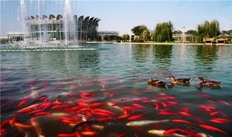 世界花卉大观园11月值得去吗 北京世界花卉大观园和北京世界公园哪个地方好玩一点