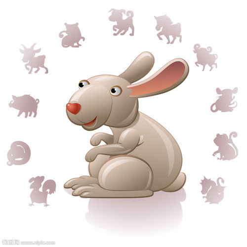 十二生肖兔子吉祥物图片 