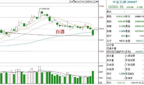 15年4月5月股市发生了什么....我看基金了几个基金都是4 5月份.涨的...