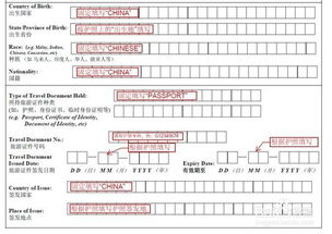 新加坡使馆表填写模版范本 以及签证材料清单 