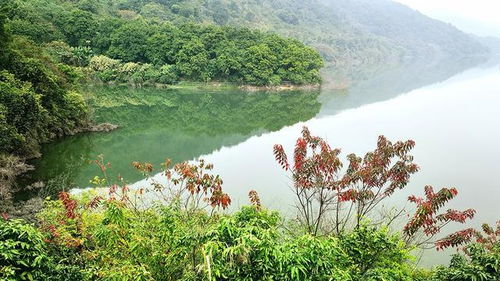 黄埔区水声水库,曾是钓友们的天堂,即将成为广州市内最美绿道