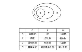 同步章节选题 