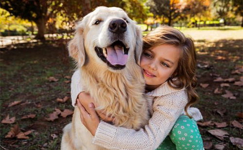 为什么女生都喜欢养 大型犬 这6个原因,让人无法拒绝