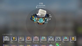 csgo怎么贴印花(csgo印花贴在哪里好看)