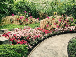 花卉大观园2023年菊花展时间 北京世界花卉大观园好玩吗