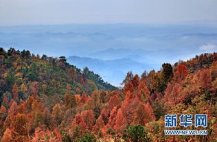 湘西泸溪天桥山 暮春仙境惹人醉 