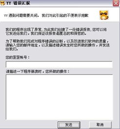 YY错误汇报 