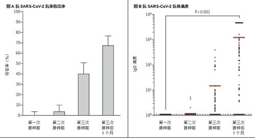 打了新冠什么时候产生抗体（打了新冠什么时候产生抗体了） 第1张