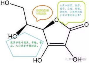 运动与矿物质的补充