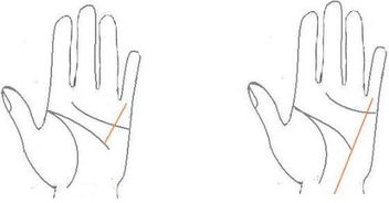 最近突然发现多出一条掌纹来,是从手腕处到无名指与小指的指缝,这代表什么 