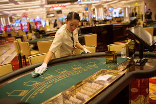 Macao s inward direct investment decreases last year