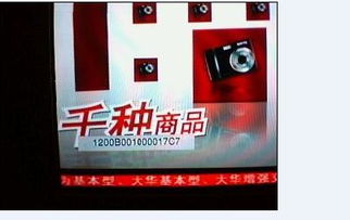 什么是华数数字电视？