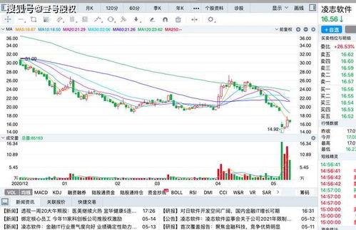 上市公司发行的股票数量是什么做依据的，如石油1830亿股。为什么发行这么多，而新世纪为什么不多发行点